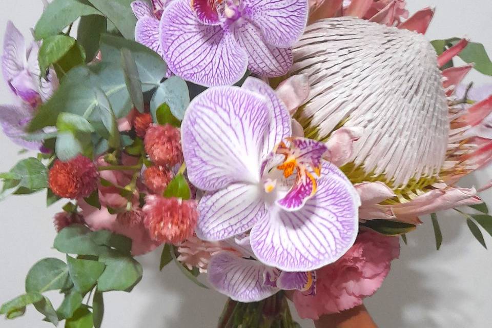 Protea Ming e Orquídea lilás