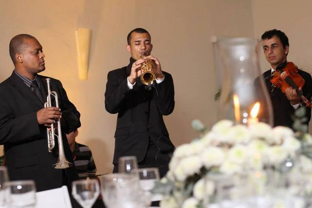Ideal para eventos
