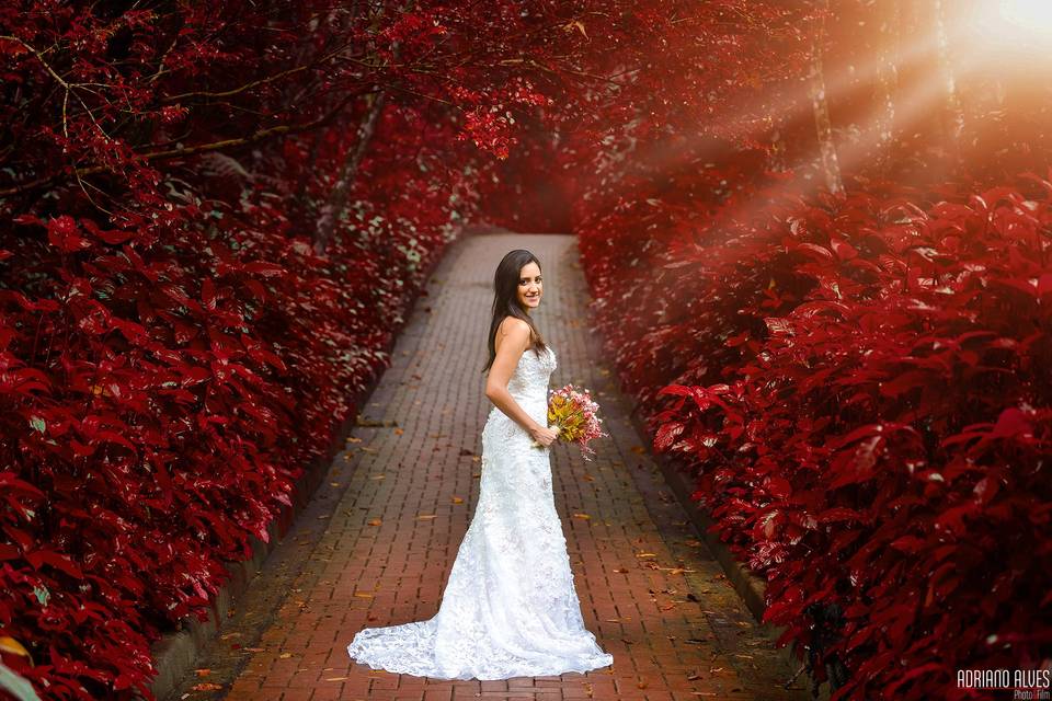 Trash the dress