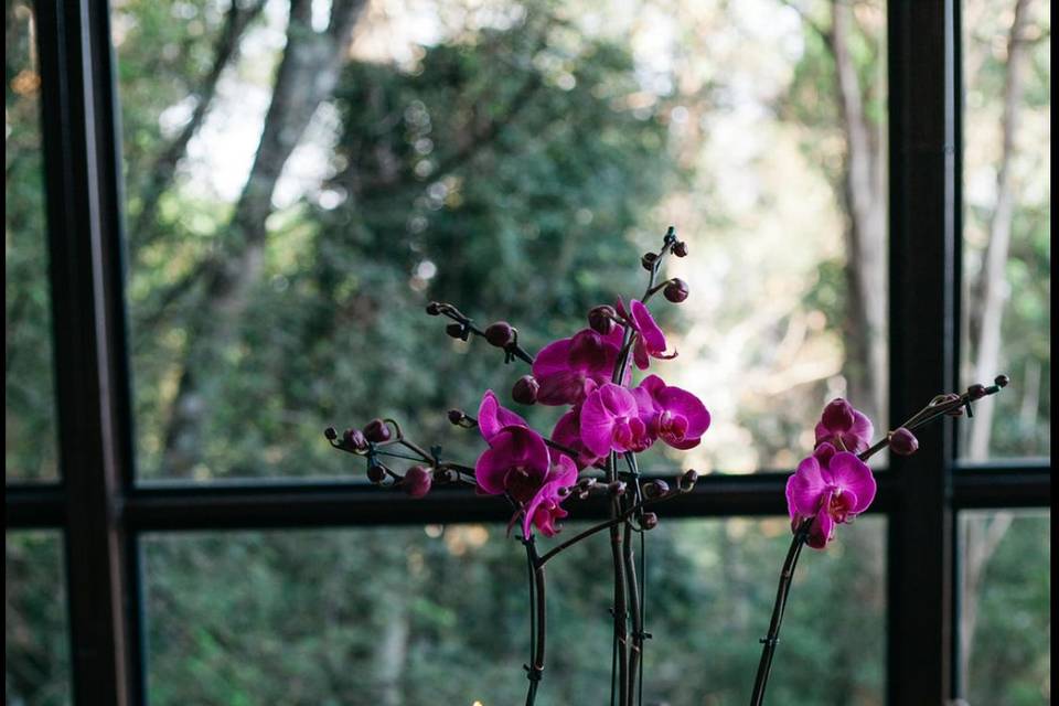 Orquídeas e velas chique