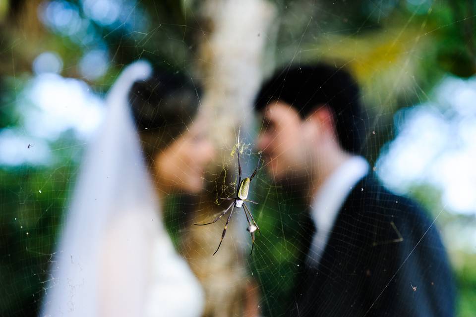 Trash The Dress