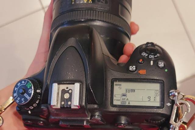 Festa de 90 Anos | Dona Zita