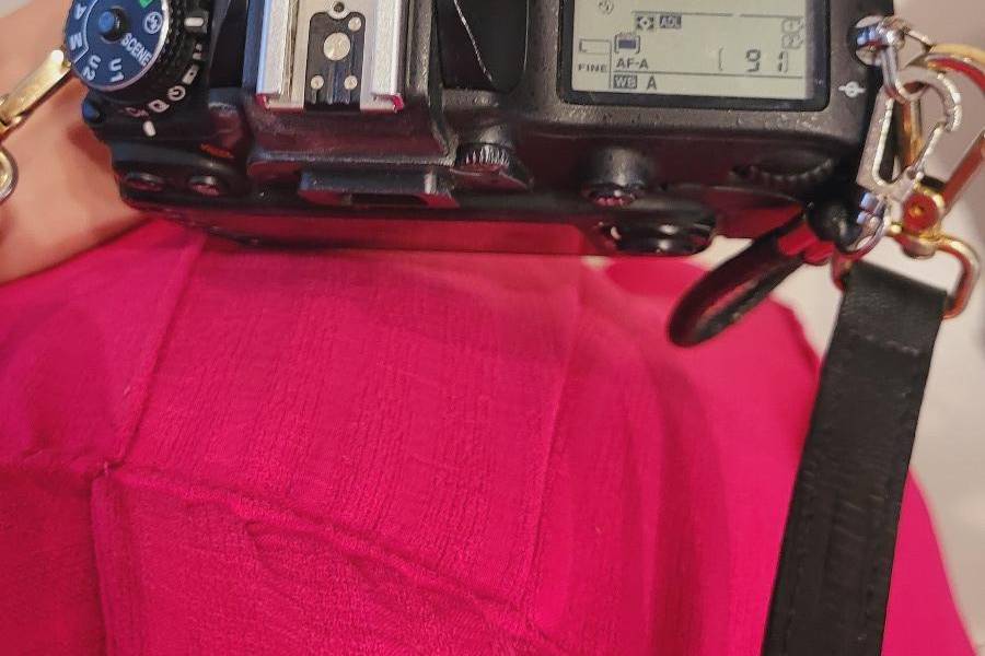 Festa de 90 Anos | Dona Zita