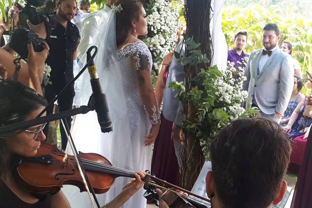 Violinista