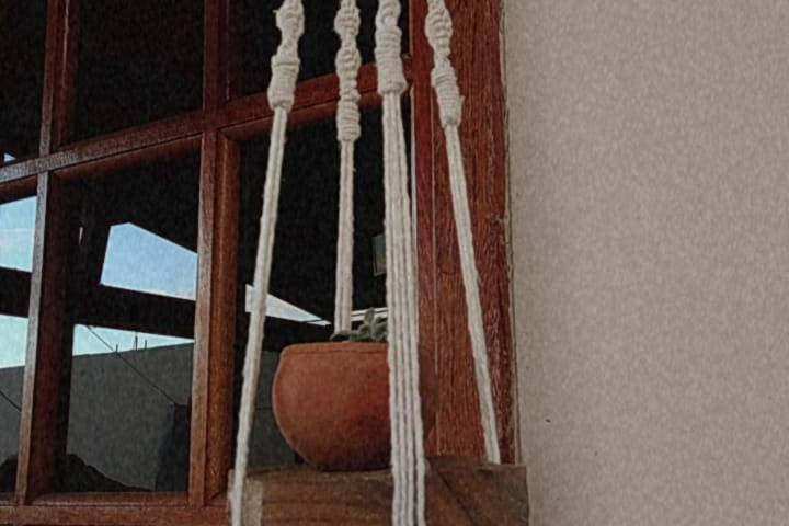 Plant hanger
