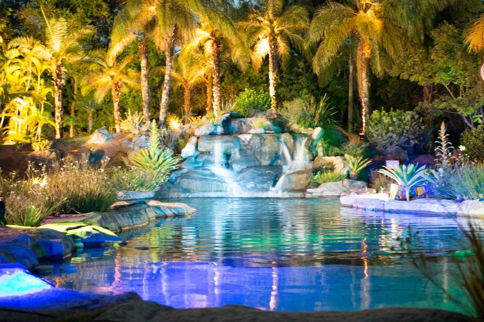 Tropical piscina