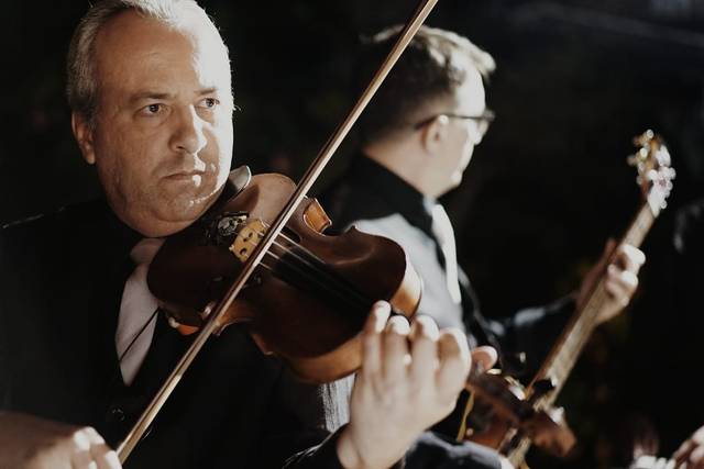 Violinisita