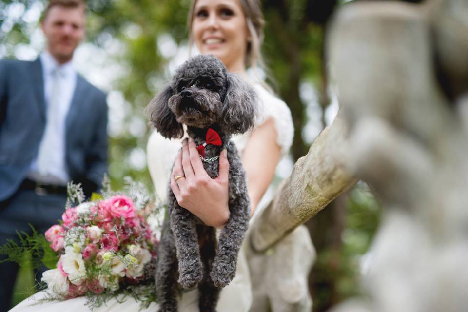 Mini Wedding em Nova Veneza