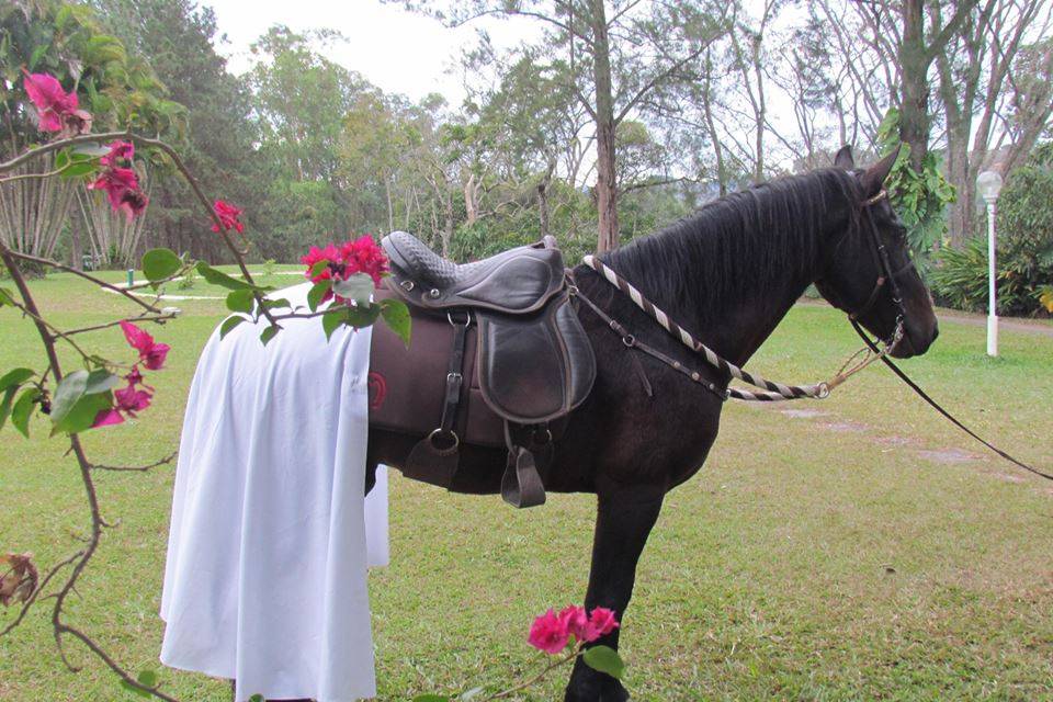 Casamento personalizado