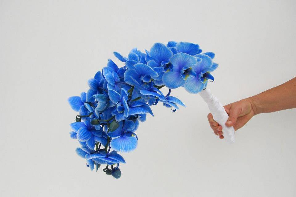 Buquê noiva orquídea azul