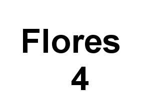 Flores 4