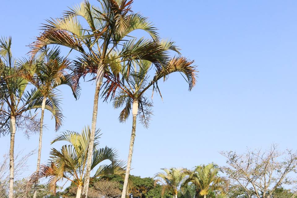 Chácara Recanto Verde