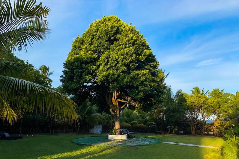 Área de Amplo Jardim Jardim e