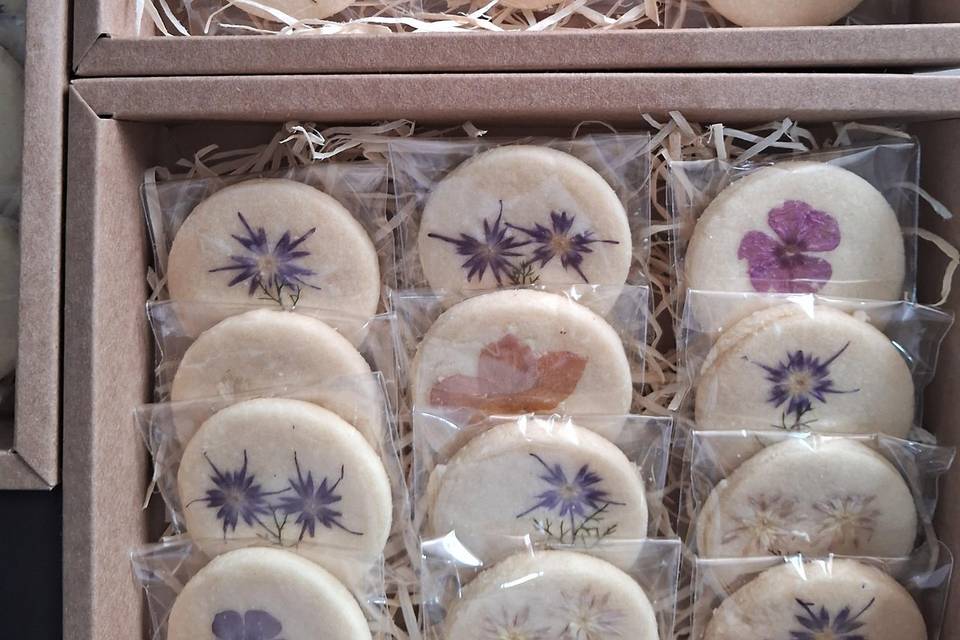 Biscoitos de Baunilha