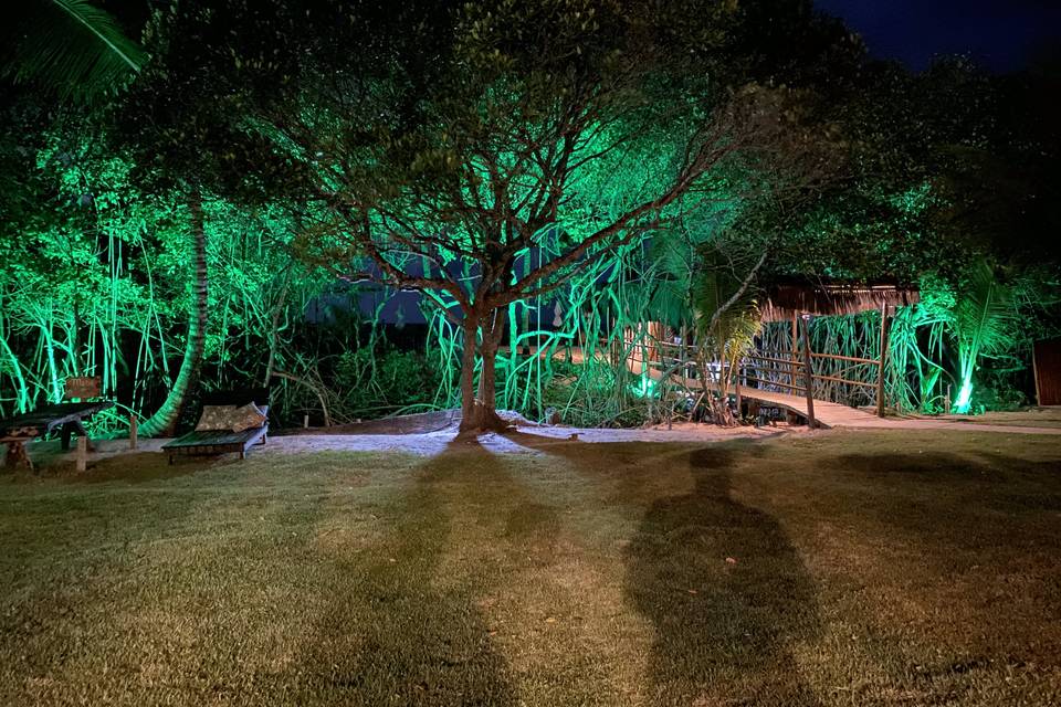 O nosso verde Iluminado