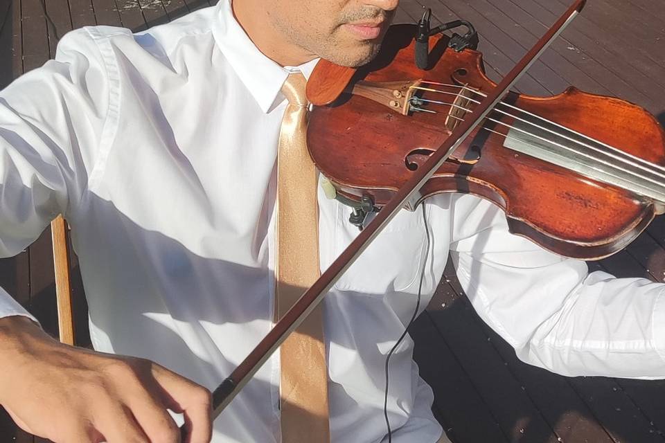 Violino David Ferraz