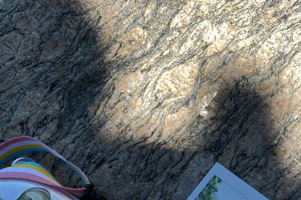 Camera e foto revelada