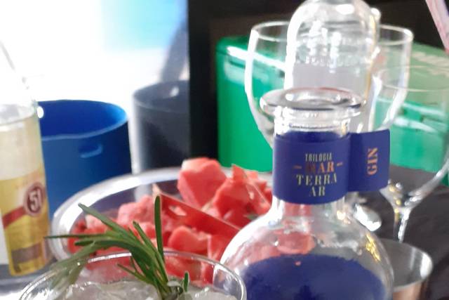 Gin tônica