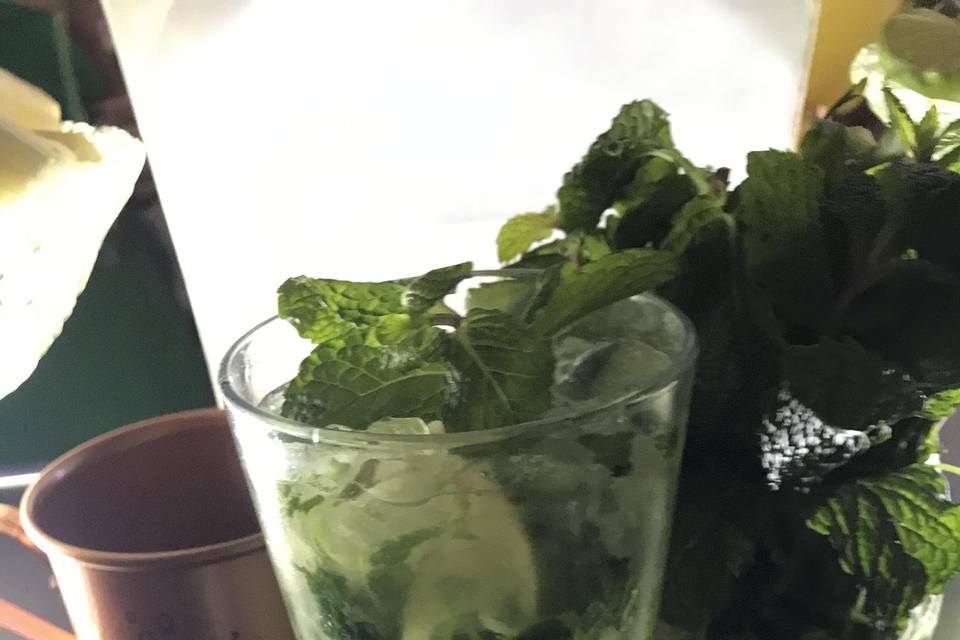 Mojito