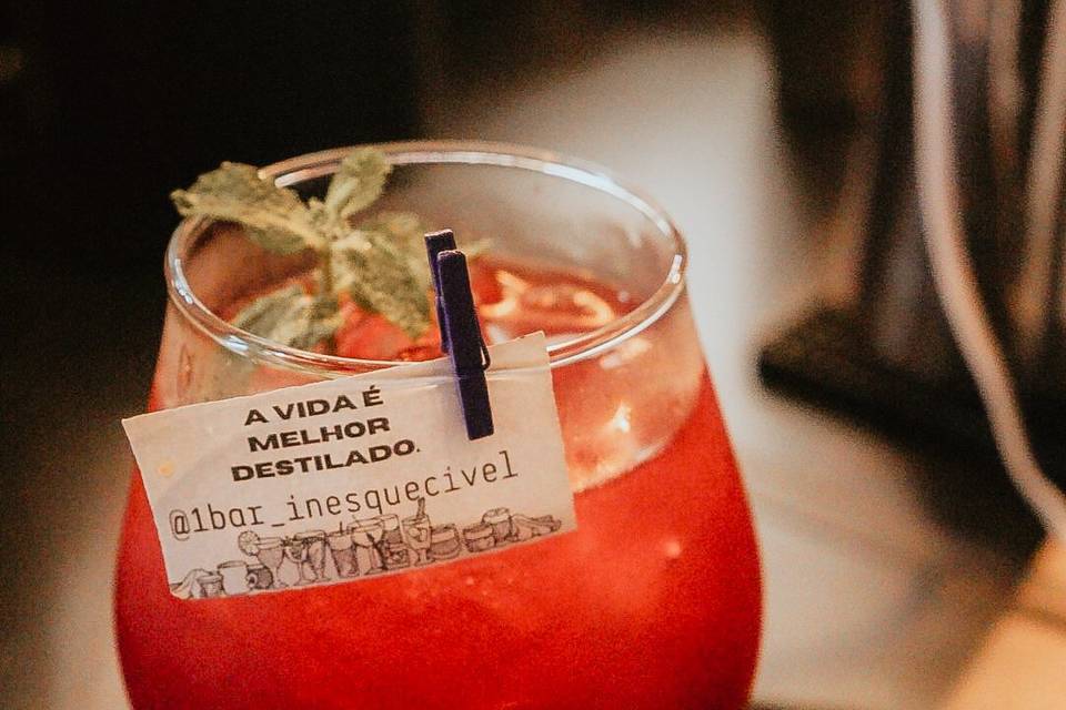 Gin frutas vermelhas