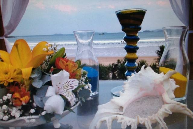 Celebrante- Marcia Fonseca