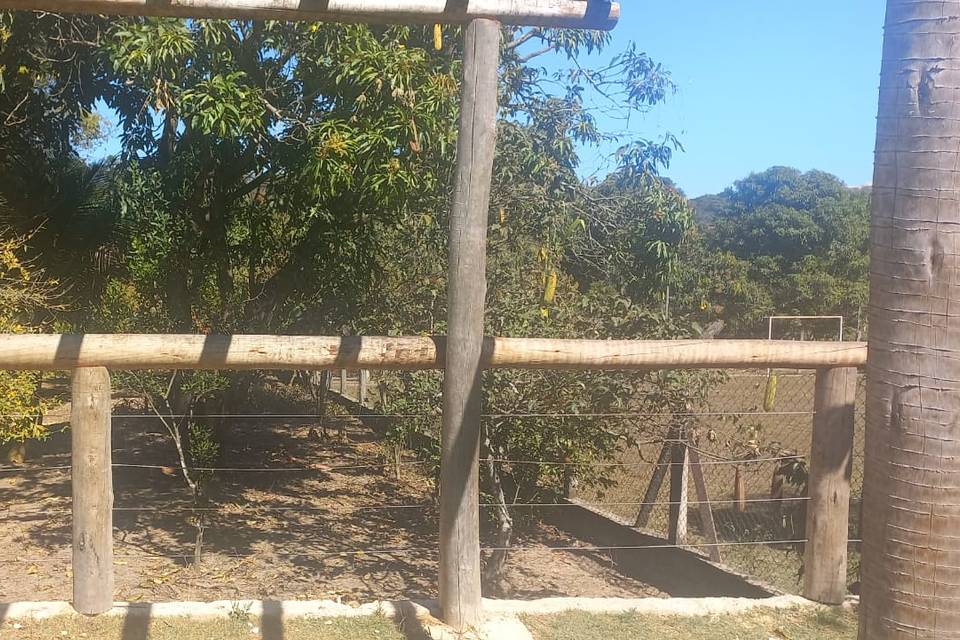 Natureza
