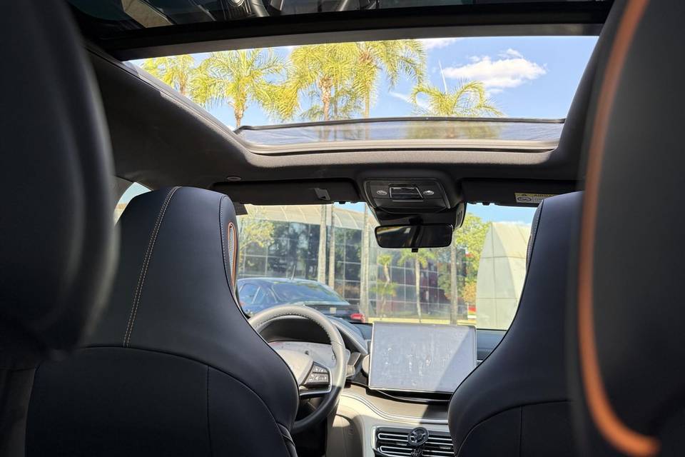 BYD - Interior