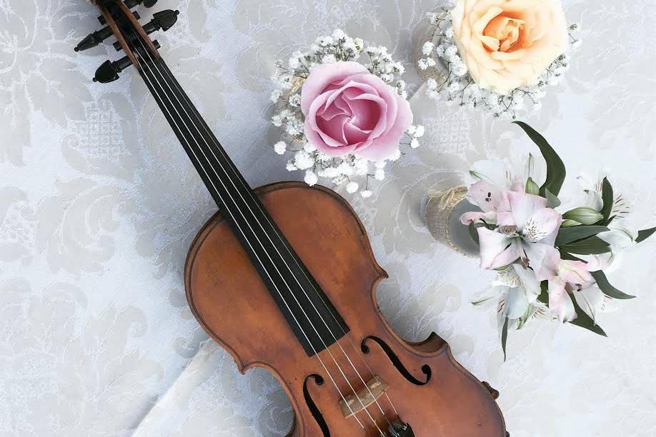 Violino e Flor