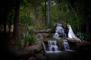 Niemar Silva Fotografias