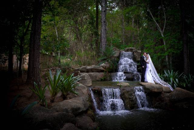 Niemar Silva Fotografias