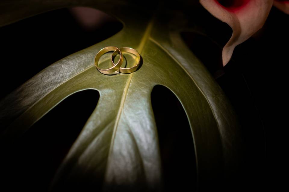 Casamento documental