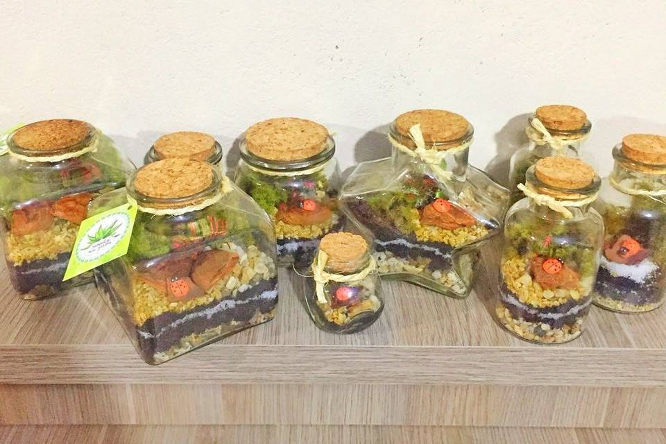 Mini terrário