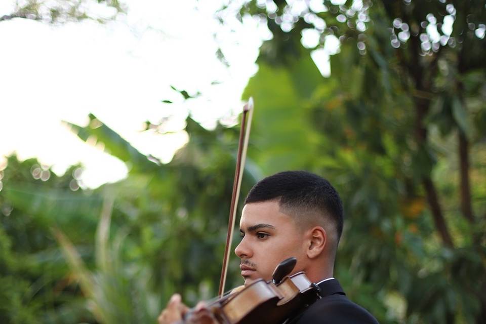 Jonas Ferraz Violinista