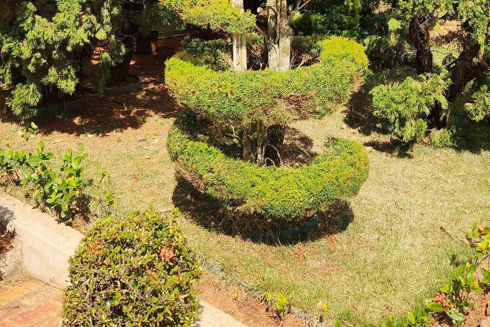 Sítio Recanto do Beija-Flor