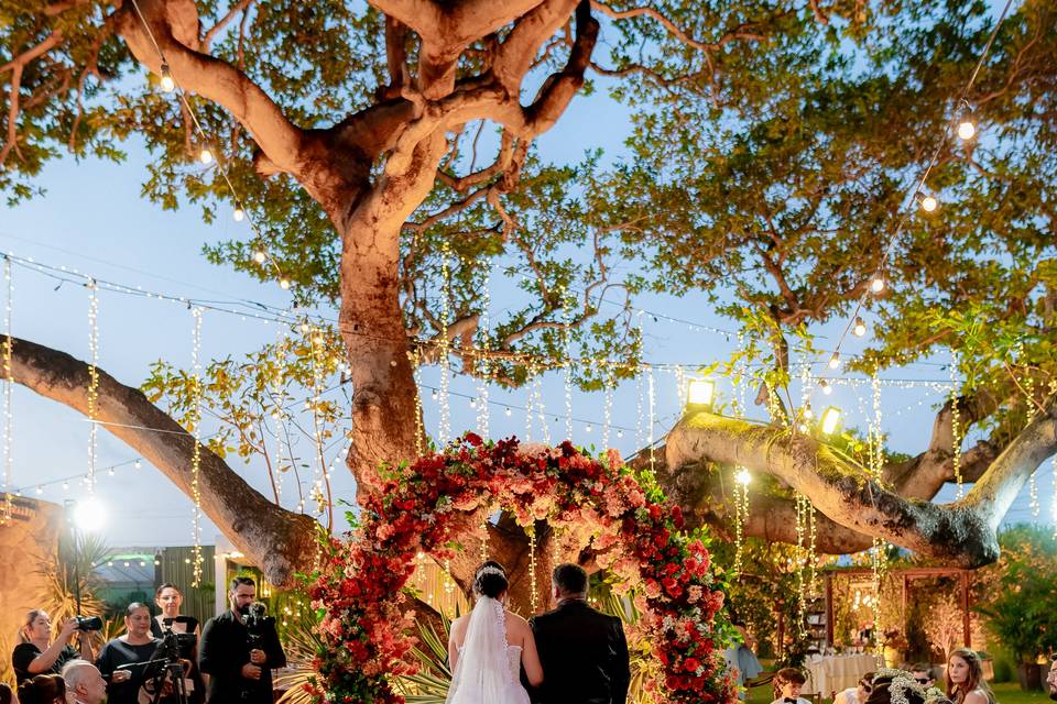 Casamento no cajueiro.