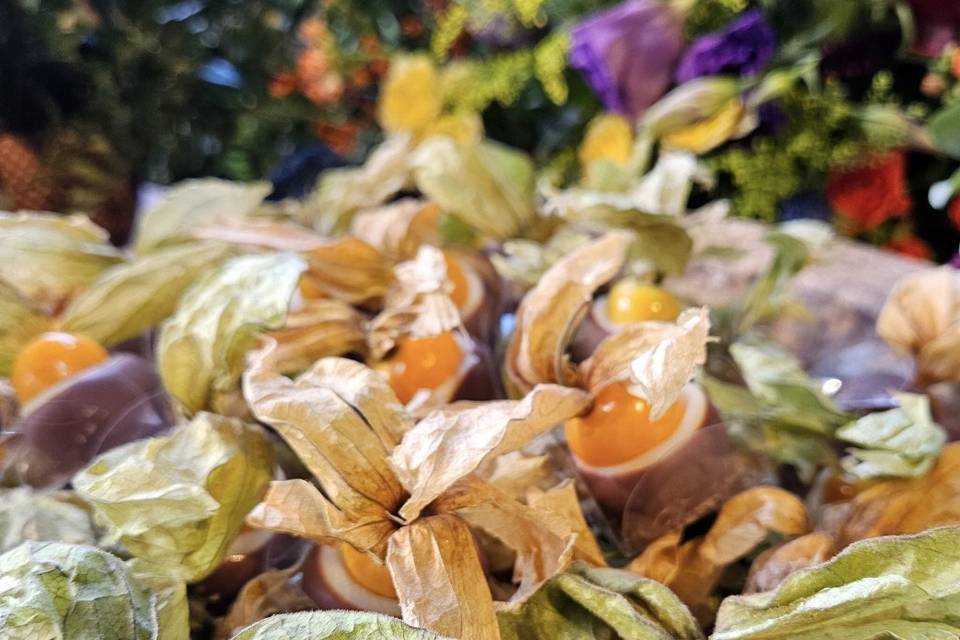 Physalis