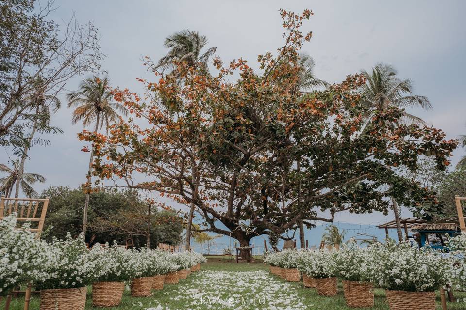 Cerimônia
