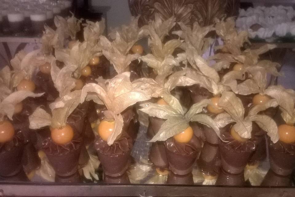 Copinho de chocolate Phisalys