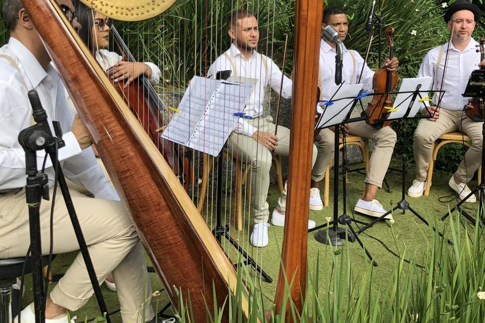Harpa + Quarteto Cordas