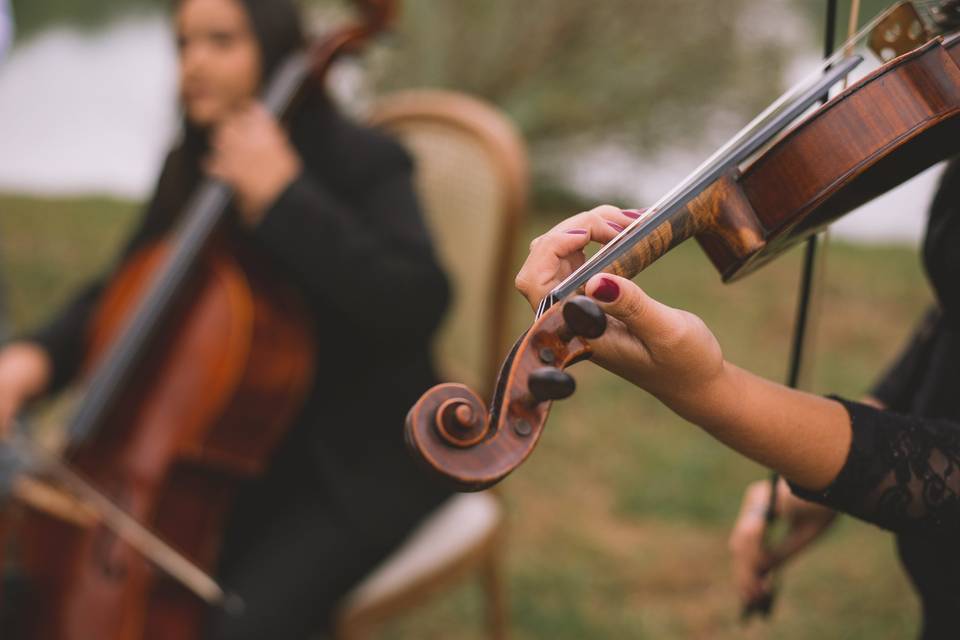 Violino e cello