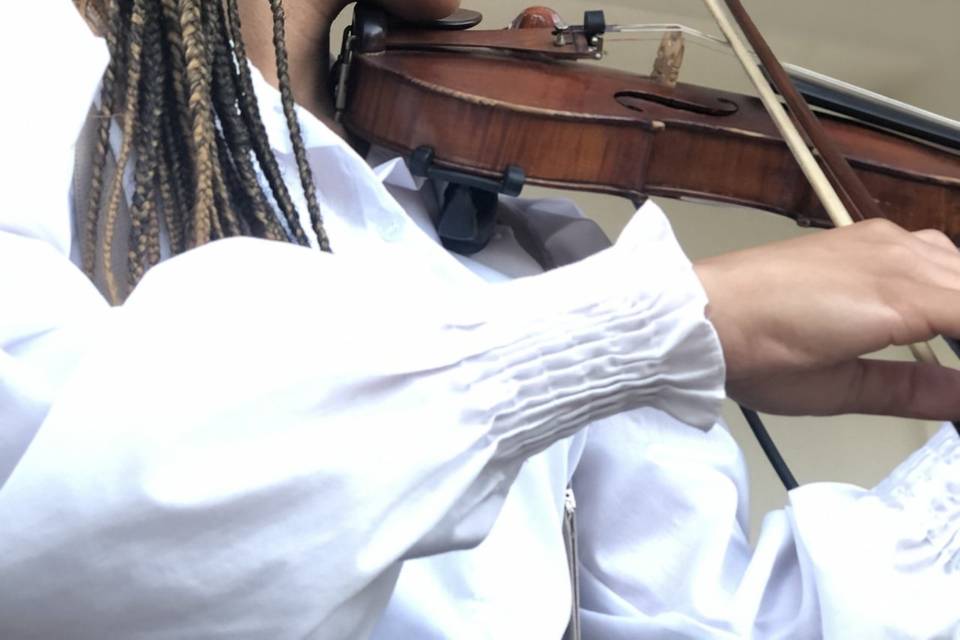 Violino