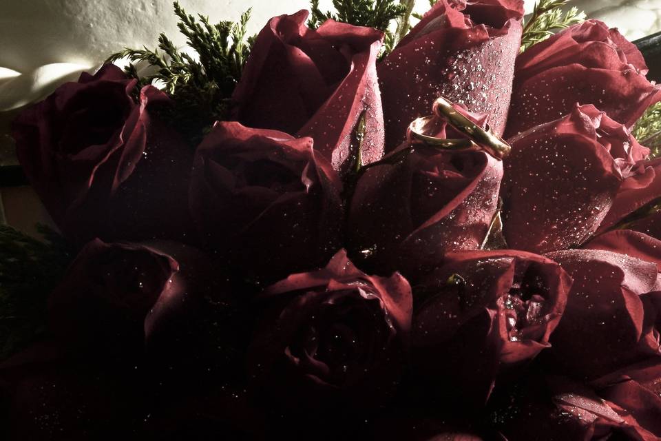 Foto Studio DK©
