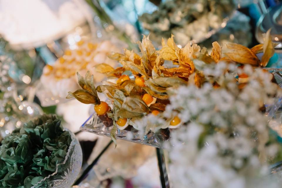 Physalis