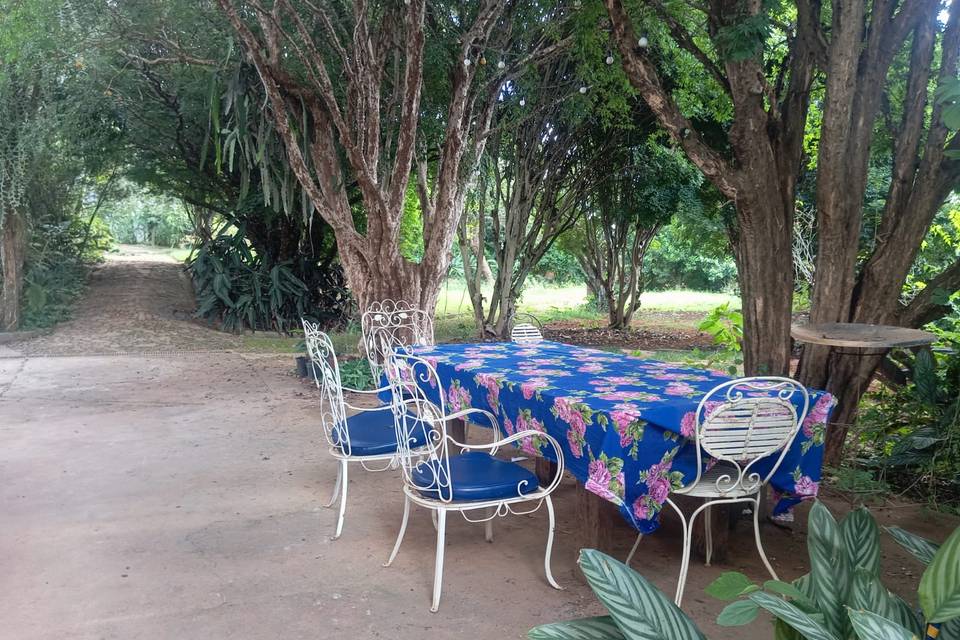 Caminhos para jardim