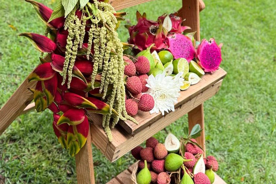 Lichias em recantos do jardim