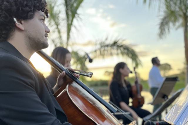 Música de qualidade