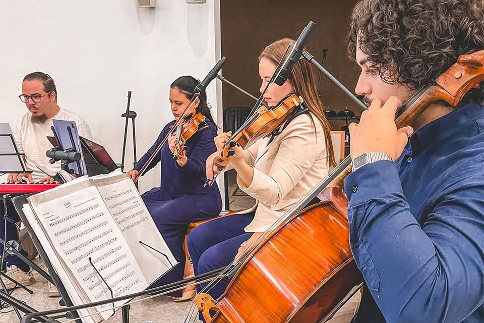 Grupo de cordas