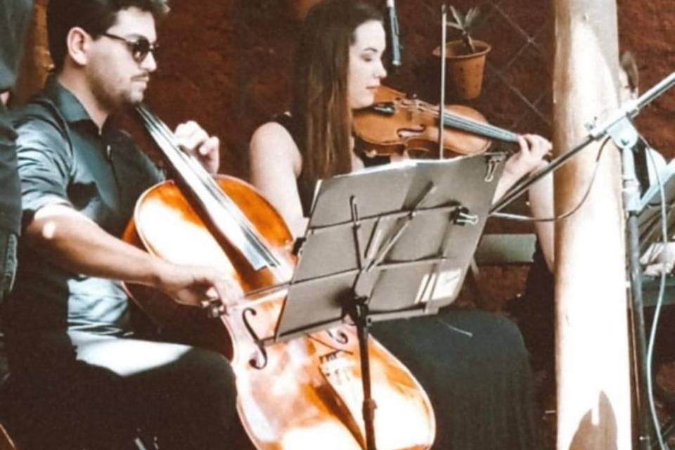 Músicos