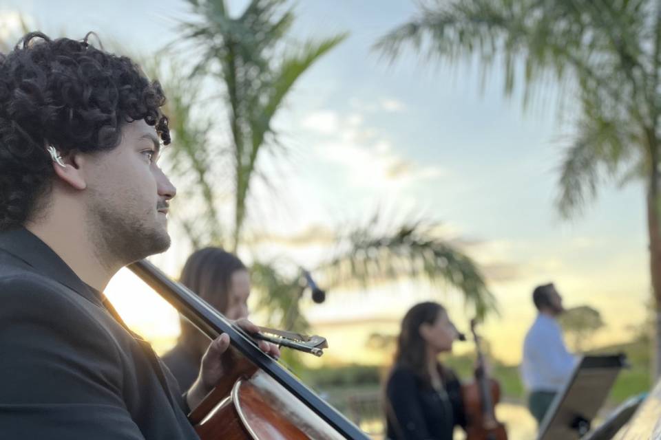 Música de qualidade