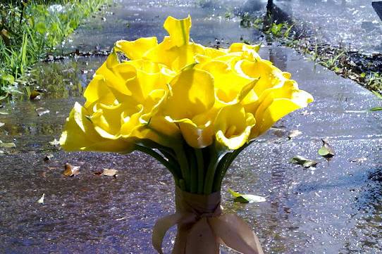 Bouquet de callas amarelo